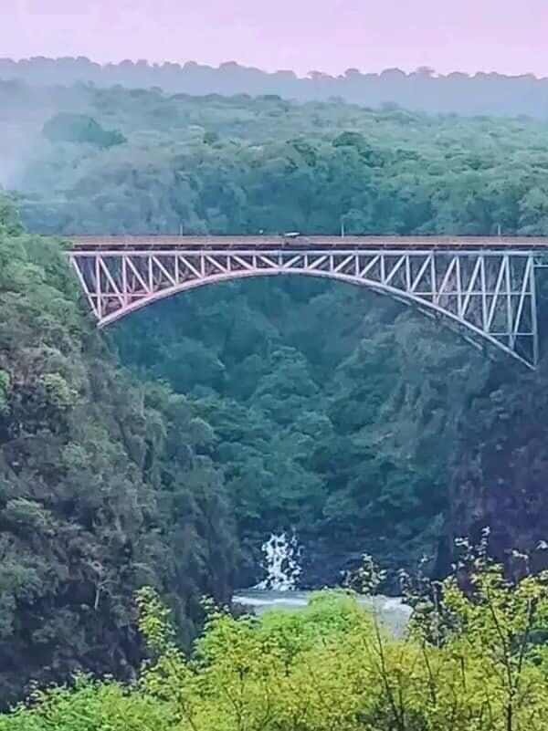 ecc50501-2486-4d6e-bedb-59eb0d274278